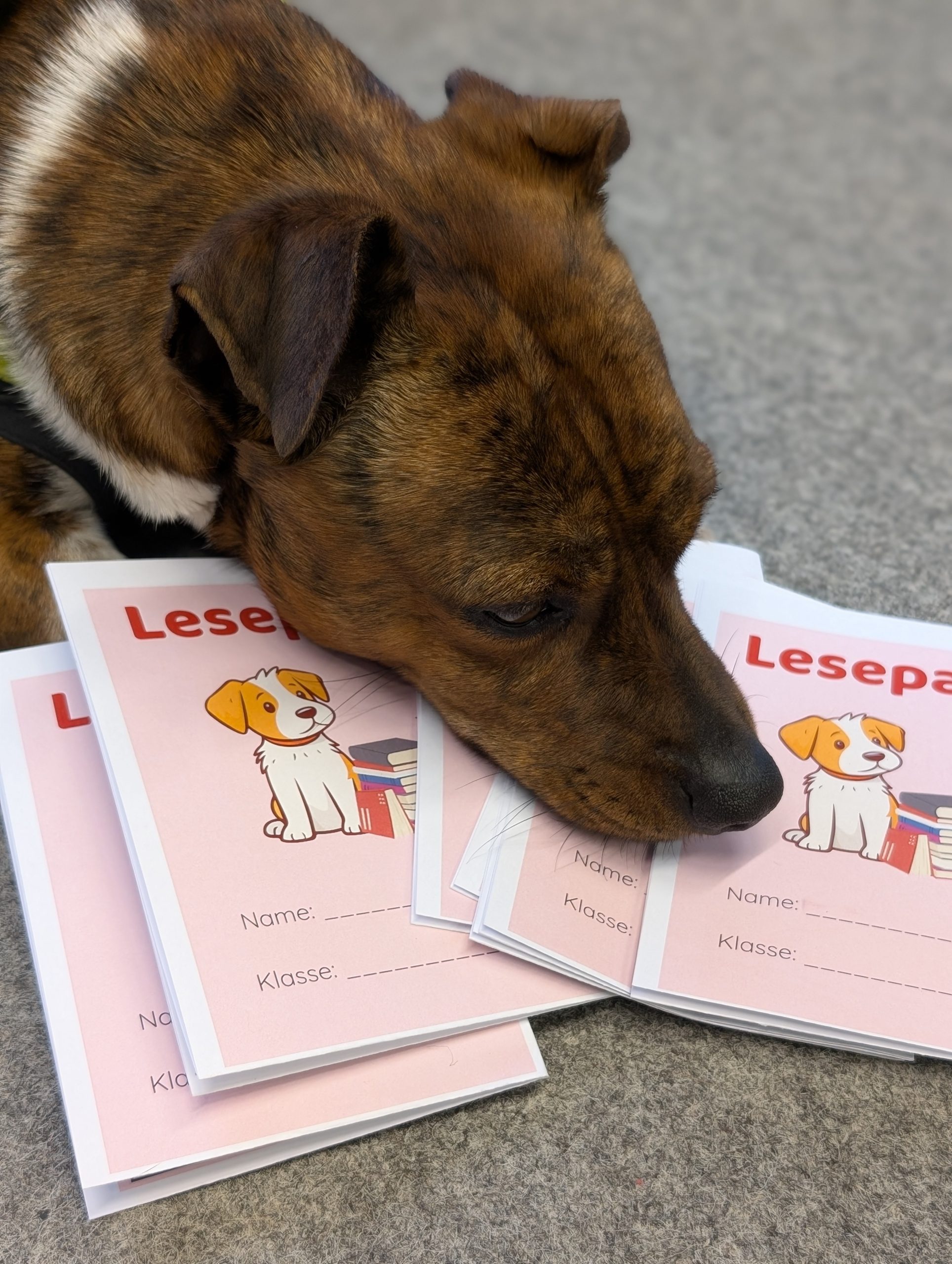 PXL_20260112_144228603.PORTRAIT